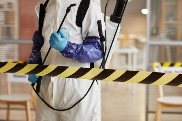 Professional Sewage Cleanup technician working in Pine Beach, NJ